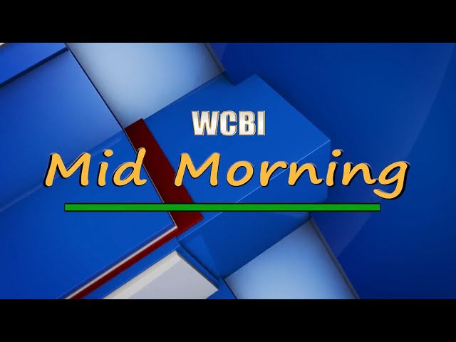 Mid-morning with Joey - 02/14/25