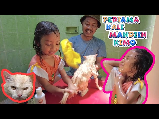 [ENG CC+AUDIO] LEIKA BATHES HER HANDSOME CAT KIMO FOR THE FIRST TIME 😍!!