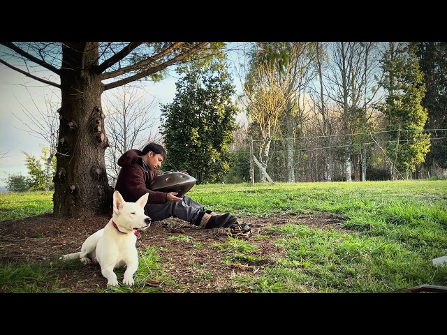 Handpan Music Meditación - Campito de la Nona (Nahuel Pua)