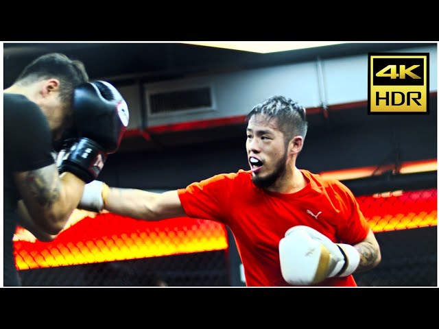 MMA Sparring UFC GYM HDR // BMPCC 4K