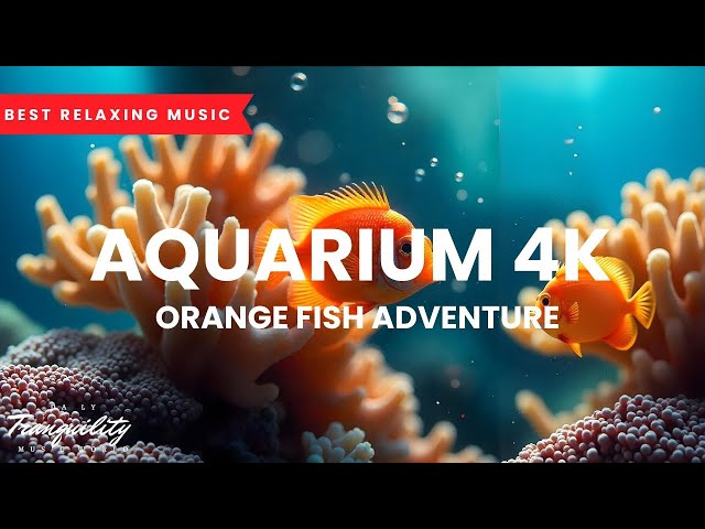 Aquarium 4k / Ocean Ambience / Orange Fish Adventure / Relaxing Ambience Sound / Fall Asleep Fast