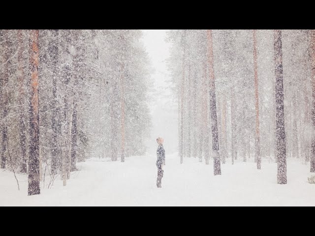 Life in the Endless Winter of Finland | NORDIC LIFE #11