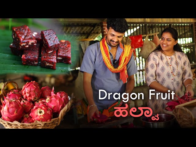 Delicious Dragon Fruit Halwa Making | Halwa recipe | Bhat n Bhat