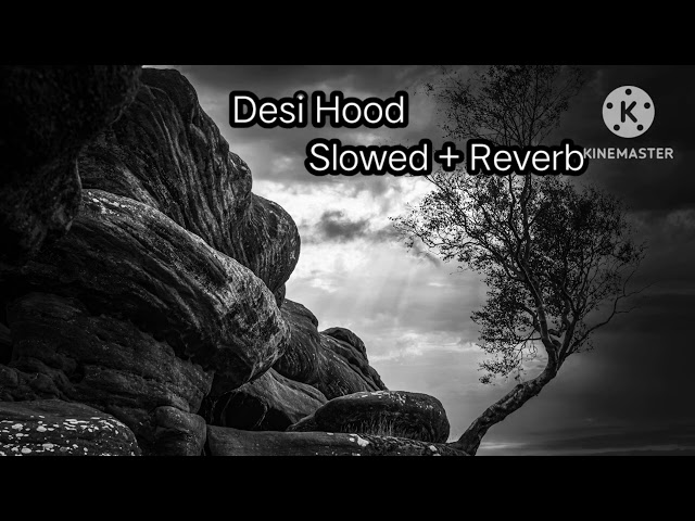 Desi Hood ( Slowed + Reverb ) | Song | | video |√