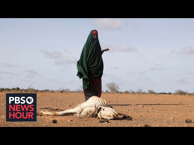 Famine propelled by conflict and climate change threatens millions in Somalia