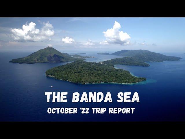 Diving the Banda Sea on the Samambaia in 2022 (4K)