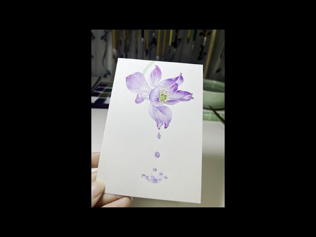 Learning Chinese Painting from Zero Basis: Lotus is not feeling well these two days, so she is slow