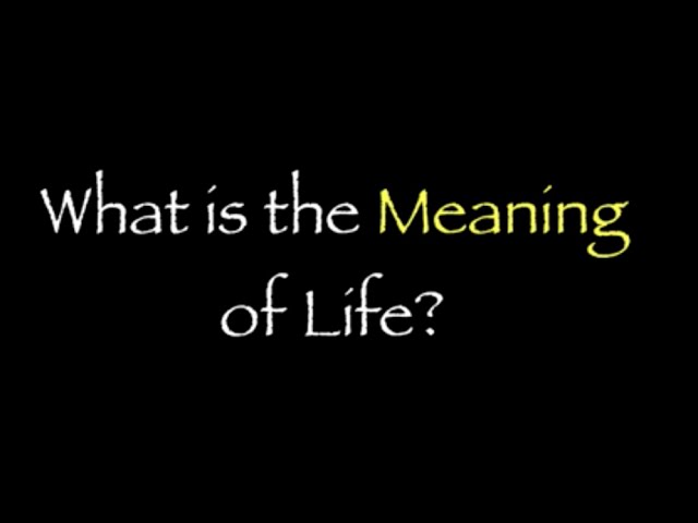 What is the Meaning of Life 101?