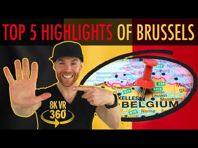 Top 5 Highlights of Brussels - Guided Tour in 8K 360 VR!