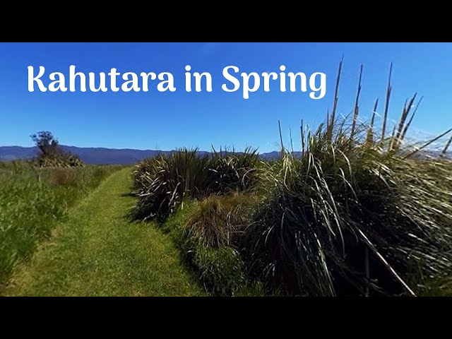 Kahutara (Boggy Pond) in Spring Narrated by Marama Fox