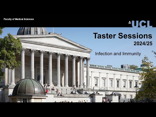 Learn about the UCL Infection and Immunity BSc