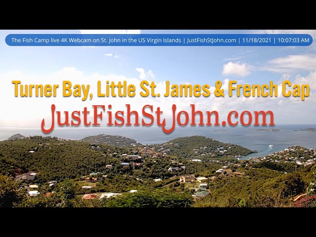 Fish Camp Webcam Live in 4K on St. John by JustFishStJohn.com