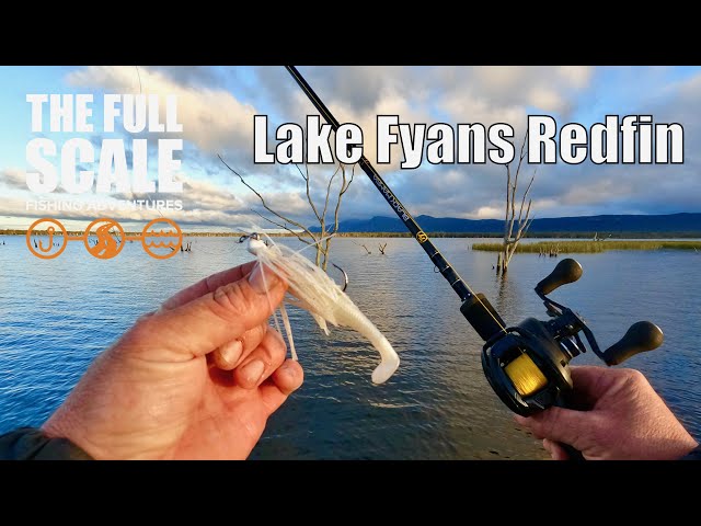 Lake Fyans Redfin | The Full Scale