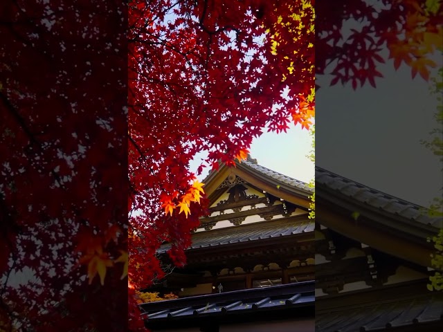 Seiryuzan Choenji Temple, Nagano