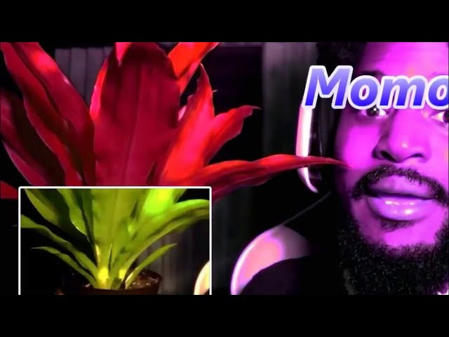 CoryxKenshin MoMo Intro YouTube