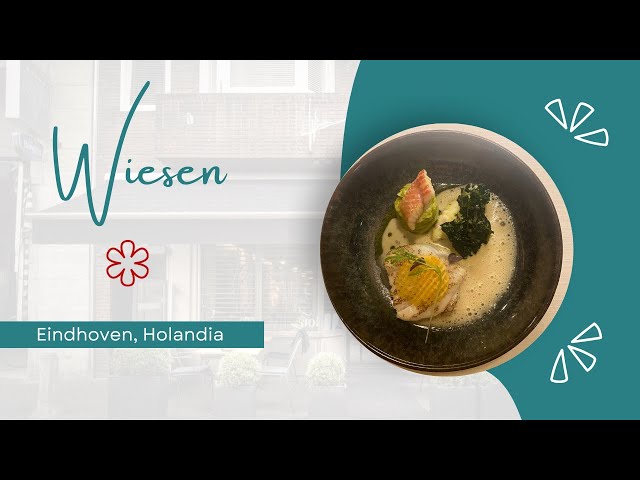 Wiesen – Fine dining w sercu  Eindhoven l  Wiesen -Fine dining in the heart of Eindhoven 🍽️