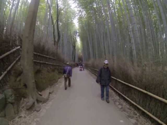 Walking through the Arashiyama Bamboo Forest