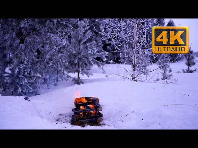 🔥 Gemütliches Lagerfeuer im Winterwald. Lagerfeuer-Ambiente mit knisternden Feuergeräuschen