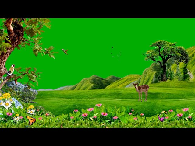 Green screen nature | green screen landscape | grassfield green screen | mountain green screen