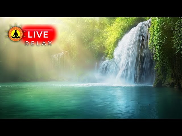 🔴 Beautiful Piano Music 24/7 🎹3345 - Study Focus Music, Relaxation, Sleeping Music, Meditation Music