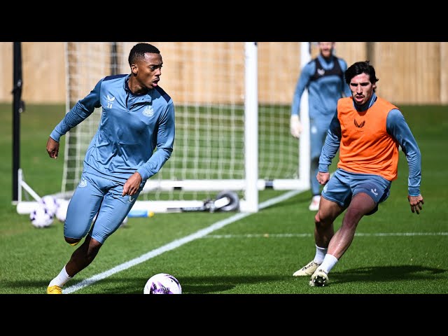 TOON IN TRAINING | Honing in on the Hammers!