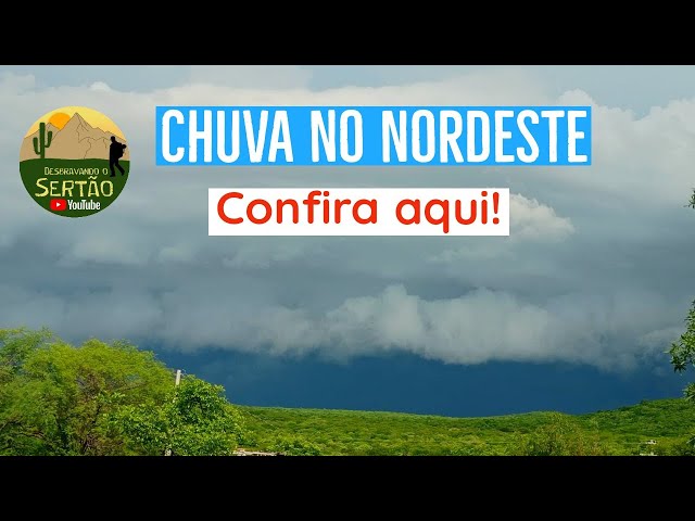 Chuvas no Nordeste: Já com chuva de fevereiro v155 🌧️