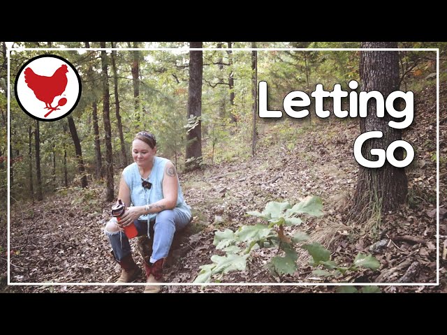 Letting Go of the Homestead | A Story of Trust