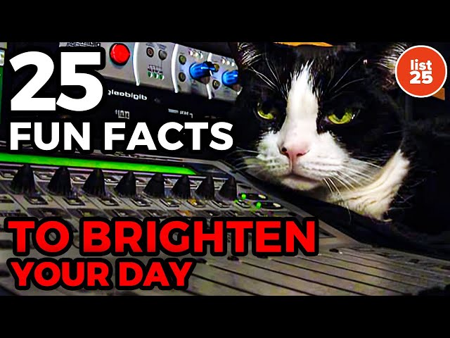 25 Fun Facts to Brighten Your Day