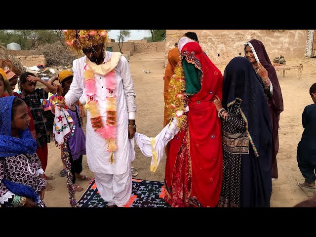 Hindu Wedding in Pakistan | Village Wedding | Desert Marriage | Village Life Pakistan