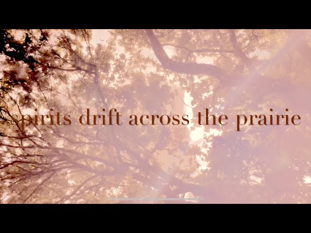 Royalty Free Ambient Sound #5 (spirits drift across the prairie)