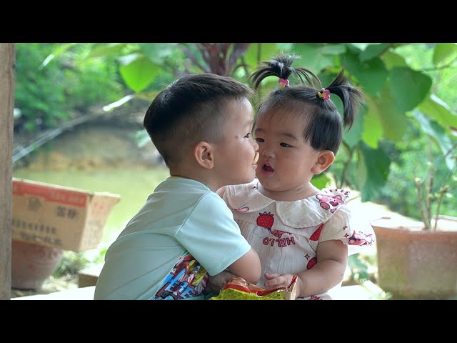 Son Comes Home, Happy Family, Get Banana Leaves, Repair House and Cooking