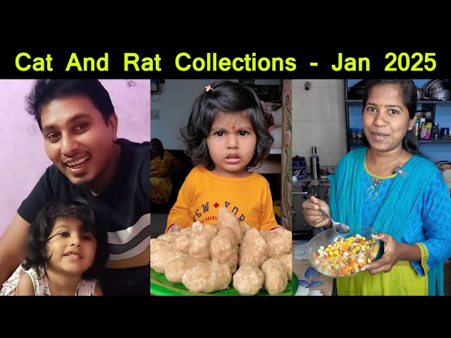 January collections video @CatAndRatOfficial #trendingshorts #vlogs #shortsvideo