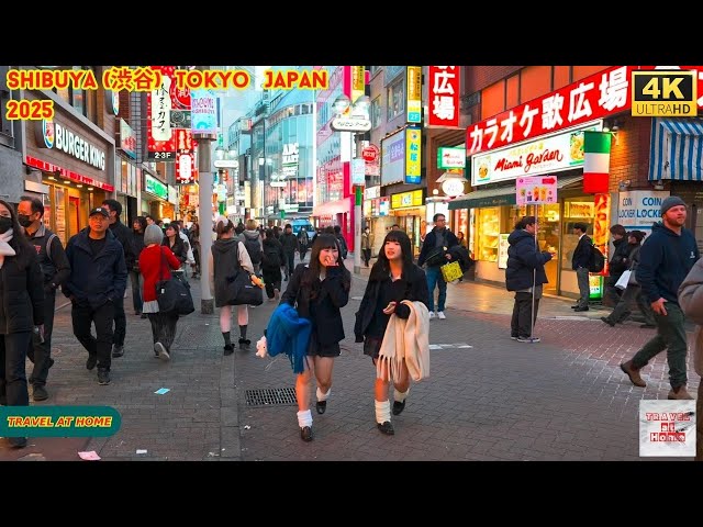 4k hdr Japan travel 2025 | Walk in Shibuya (渋谷) Tokyo Japan |  Relaxing Natural City ambience