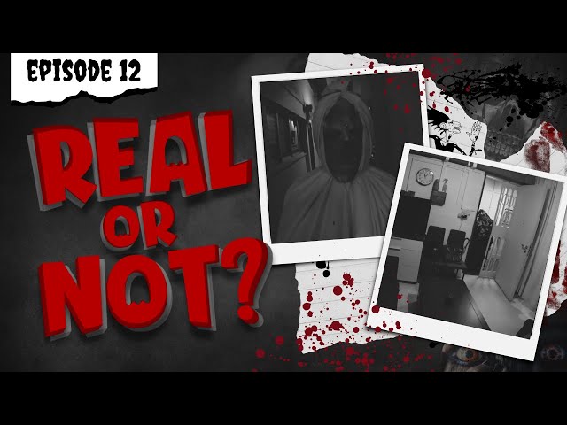 Real or Not - Episode Twelve (POVs)