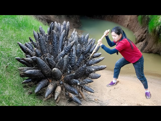 WOMAN Harvesting Yam Tubers Go to the Market Sell | Farming & Cooking | Tieu Tam Daily Life