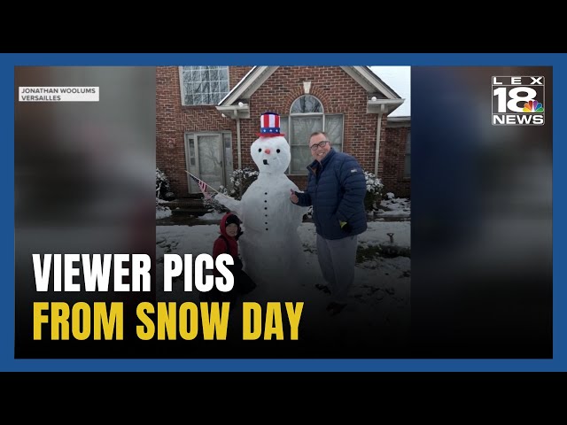 Photos, Videos From Around the Region on a Snow Day