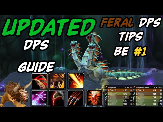 P1 BE TOP DPS Feral Druid | Season Of Discovery | WoW | #classicwow Feral Druid DPS Guide