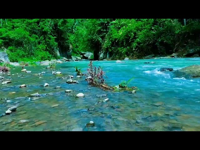 Nature Sounds For Insomnia, Sleep, Stress Relief, Beautiful Mountain River Flow, Forest Sounds