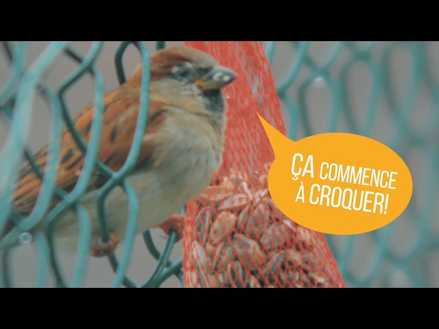 ça Croque