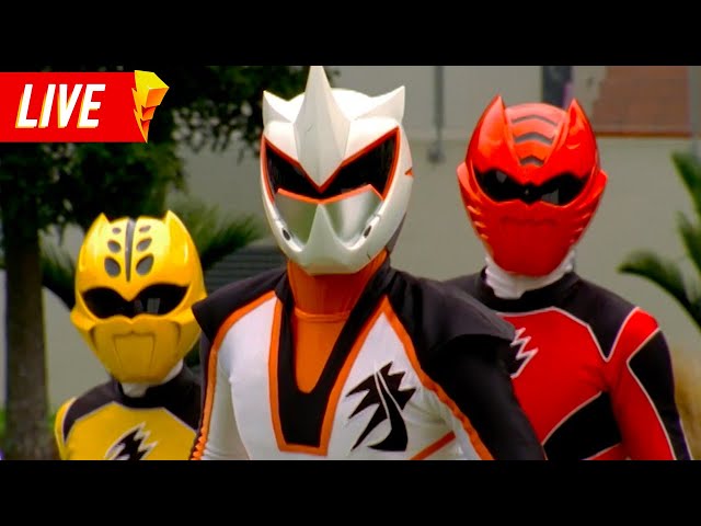 Power Rangers Jungle Fury 🔴 LIVE 24/7 | Power Rangers Official