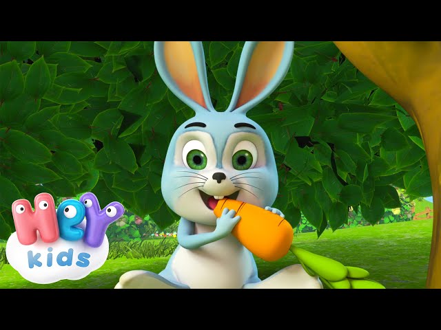 Der Hase und Mehr! | Tierlied für kinder | HeyKids Deutsch - Kinderlieder