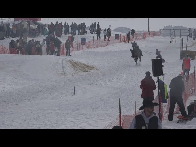 Have you ever heard of skijoring?