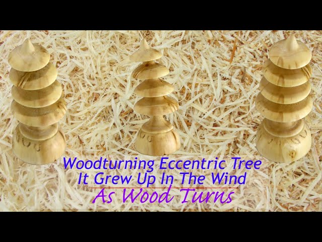 Woodturning Eccentric Tree - It Grew Up In The Wind