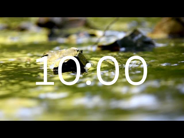 10 Minutes Timer With Relaxing Music