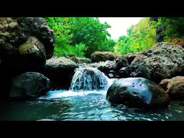 Beautiful Enchanted Waterfall Forest Ambience, Sound of a Dense Forest River is Beautiful & Peaceful