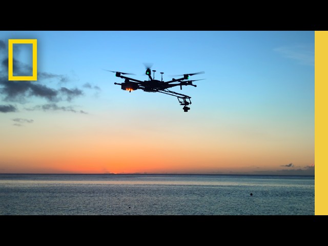 Mapping the Ocean with the Power of Technology | National Geographic