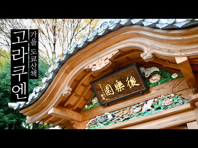 Take a stroll through Koishikawa Korakuen Garden