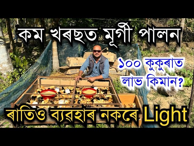 কম খৰছত মূৰ্গী পালন।Chicken farming।Low Cost Chicken Farming।Local chicken farm। Sonali chicken farm