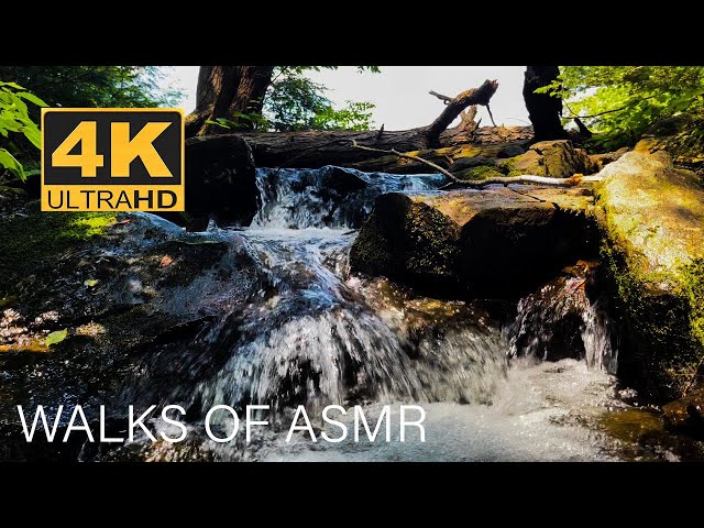 4K | Sleep Aid: Serene Waterfall Sounds for Anxiety Relief | ASMR Nature Therapy