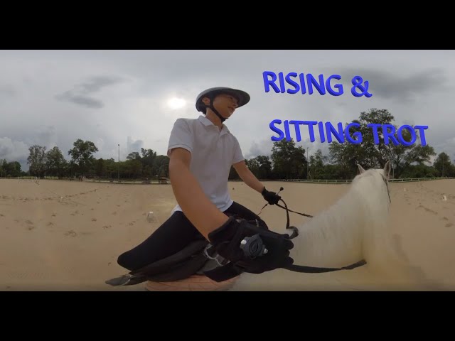 Horse riding Day 8-4 - rising trot & sitting trot, over-hand 360 VR view, 5K